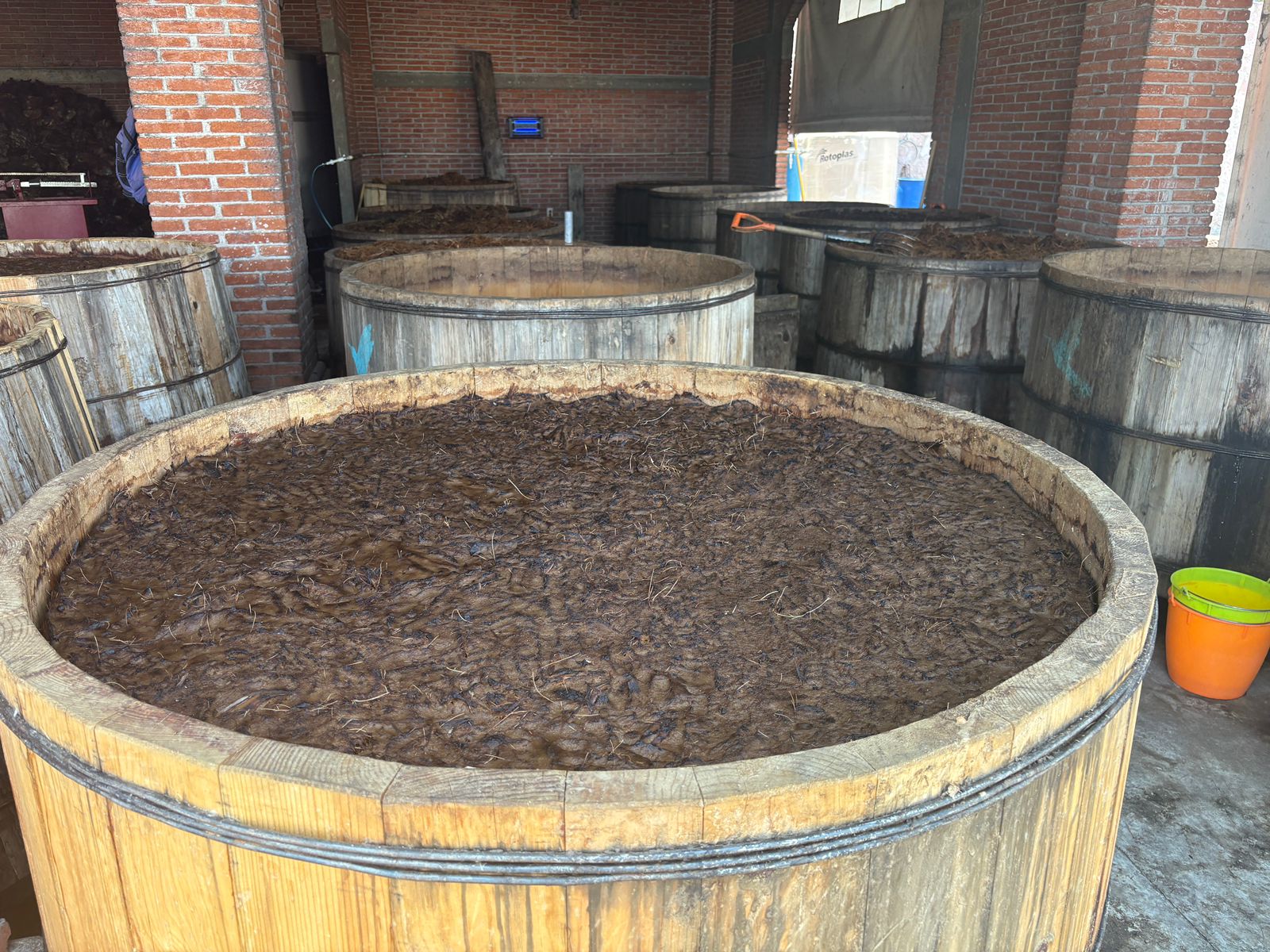 Ruta 3: Experiencia Artesanal del Mezcal en Matatlán 3
